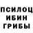 Псилоцибиновые грибы Cubensis _proFI_Sem4ik