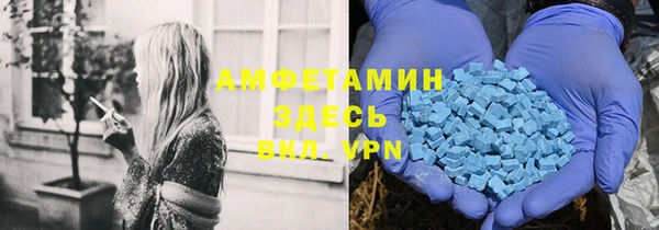 индика Всеволожск
