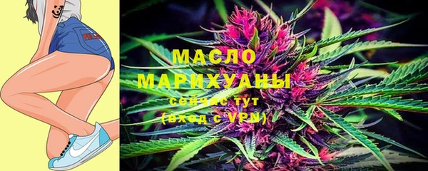 индика Всеволожск
