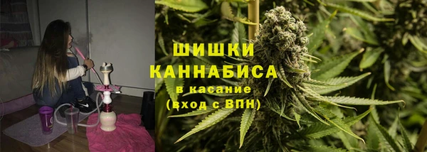 mdpv Богородск